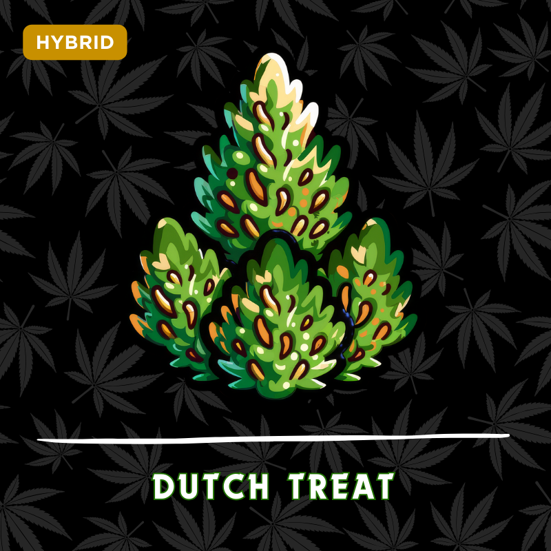 Dutch Treat