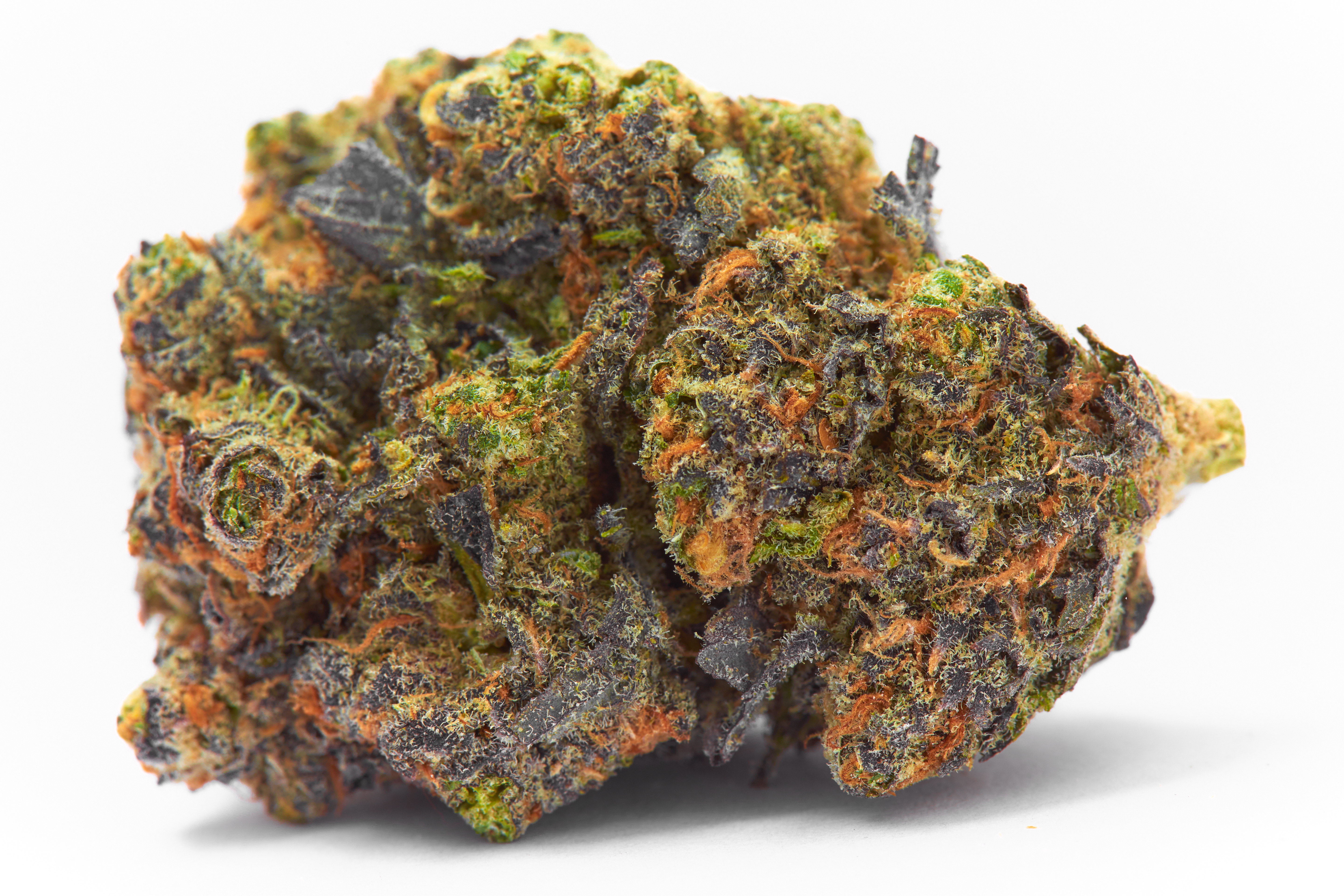 Gelato Cannabis Strain Bud (macro)