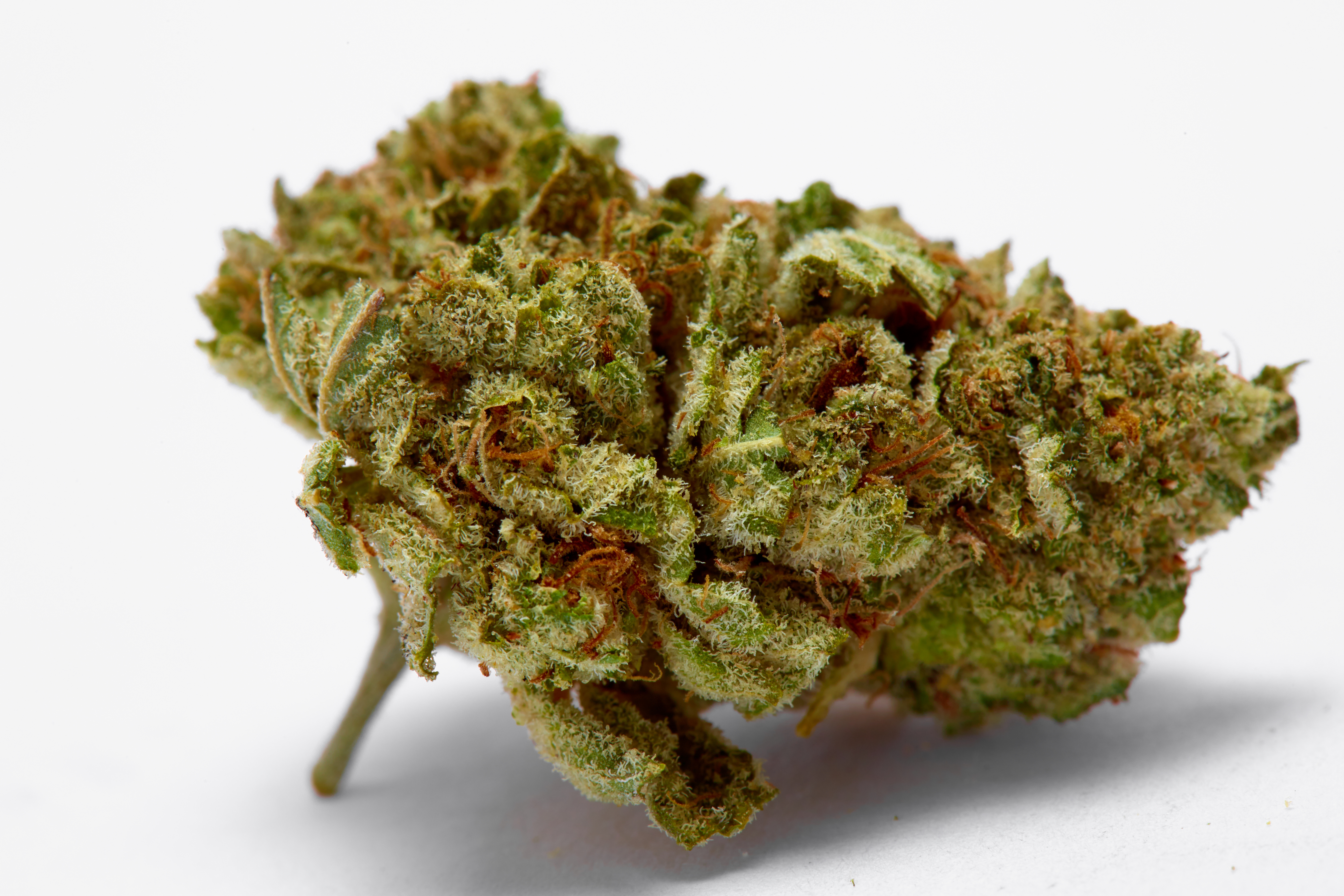 Sour Diesel Cannabis Strain Bud (macro)
